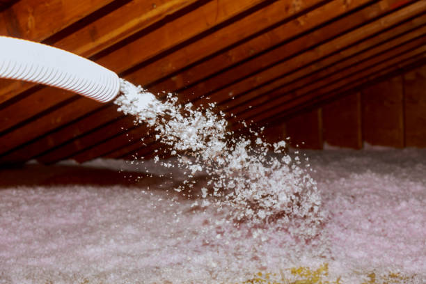 Garage Insulation Installation in Stockbridge, GA